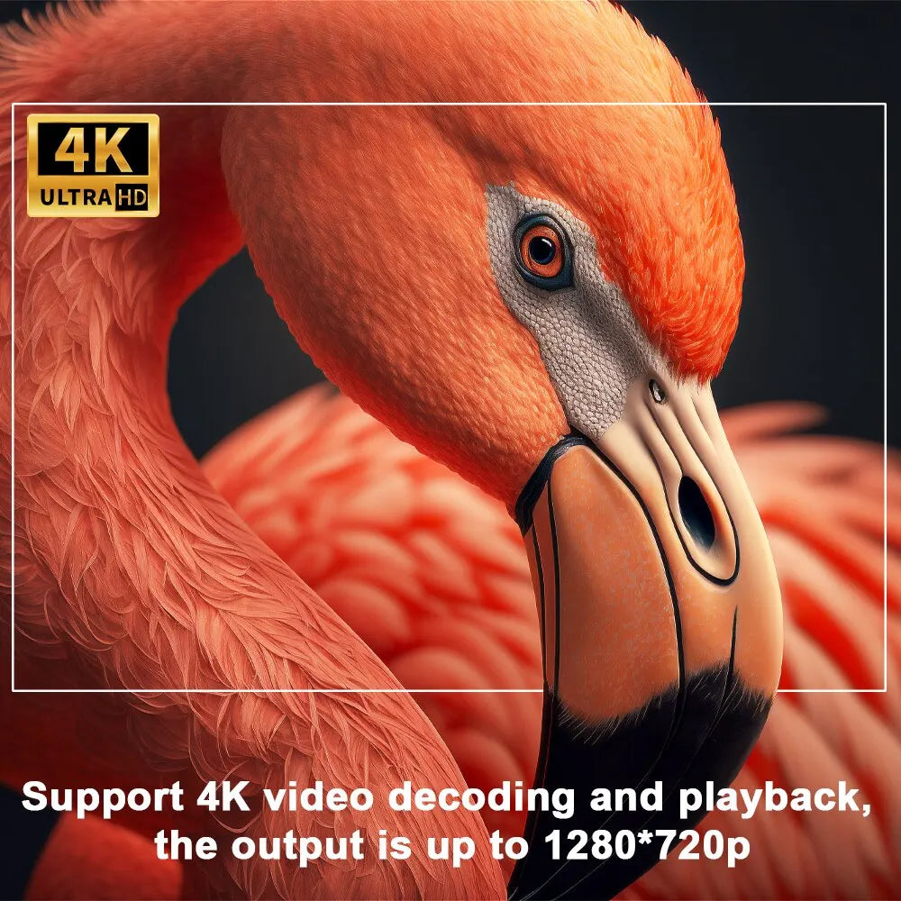 Pro Vision™